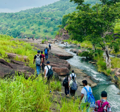 Employee Engagements cover